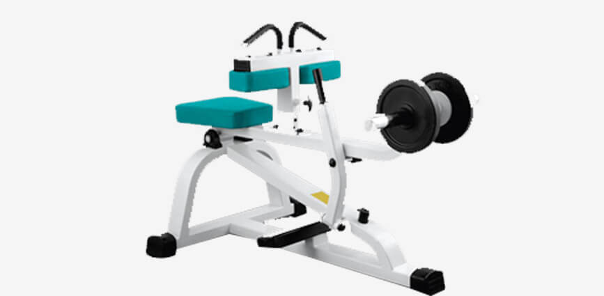 Commercial Gym Equipment In Udhampur